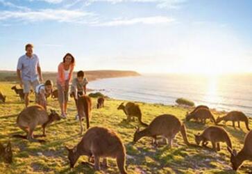 有个人澳大利亚旅游签证能能跟团出行吗？